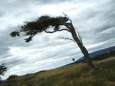 リアルタイム旅行記　南米放浪２人旅▼～第38便 世界最南端の町