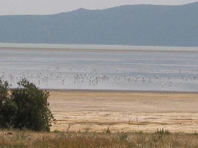 チュニジアの世界遺産：イシュケウル国立公園