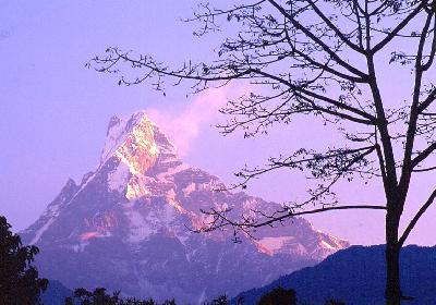 ｱﾝﾅﾌﾟﾙﾅの四季をめぐった21日間の旅も終わりに。その8