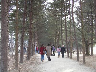 韓国留学2005年1月