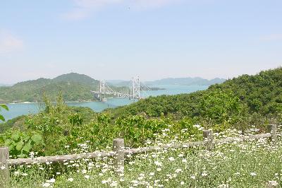 花の香りに充ちる島＠しまなみ海道・因島☆2004年5月5日