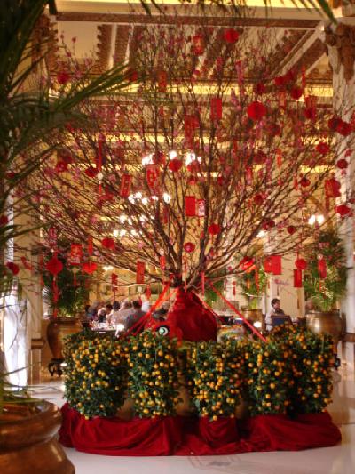 慶祝鶏年★香港豪遊!?