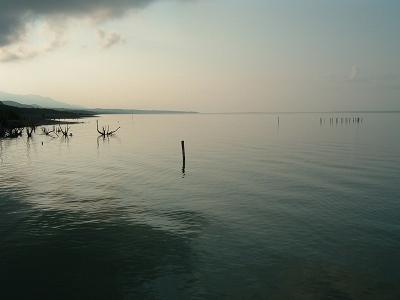 LAGO ENRIQUILLO ワニとフラミンゴの旅