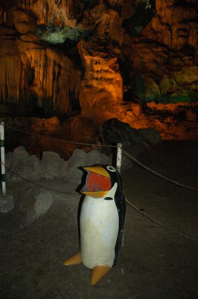 ベトナム初上陸・怒涛のハロン編