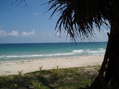 インドネシア(ビンタン島)