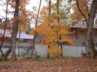 ２００１年１１月２～３日信州　その１（黒姫山麓）