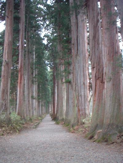 ２００１年１１月２～３日信州　その４（戸隠神社）