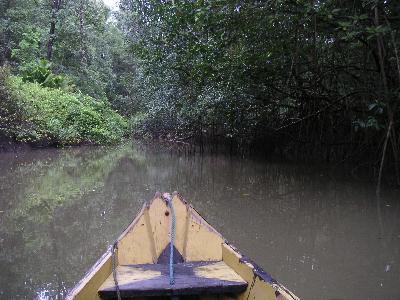 ベレン、マラジョー島