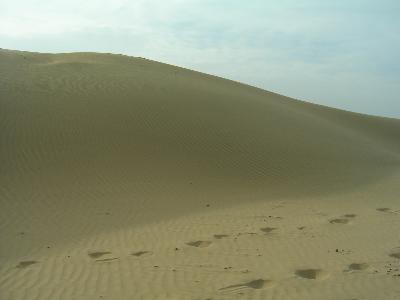 India7(ジャイサルメール)