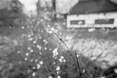 真冬の北欧ひとりたび vol.4