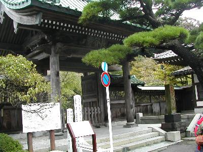 江ノ島・鎌倉を歩き尽くす。台風直撃翌日でハプニング満載！食いしん坊の旅。