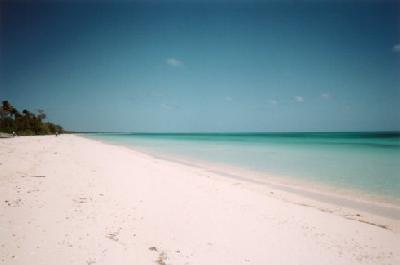 ニューカレドニア（ヌーメア・ウーベア・リフー）