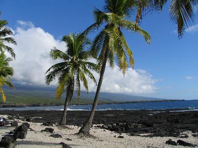 ハワイ島：海めっちゃきれいだった。