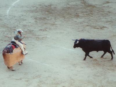 闘牛鑑賞ガイド in 情熱の国スペイン