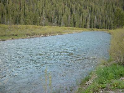 アメリカ横断しちゃおう！！【ジャクソン編】