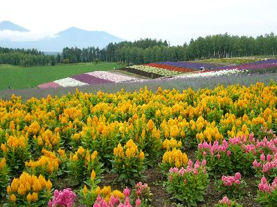 北海道・トマム