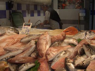 ☆マルタのお魚屋さん☆