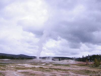 アメリカ横断しちゃおう！！【Yellow Stone編?】