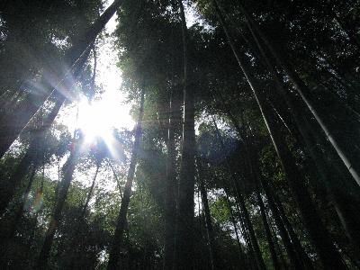 嵯峨野をぶらりと一人歩き。