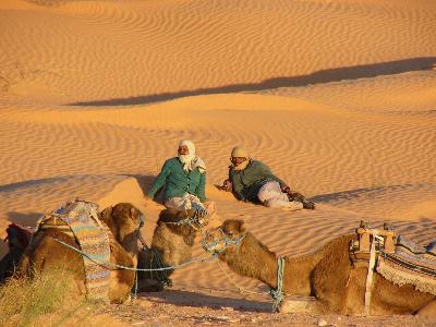 ハンニバルさんこんにちは