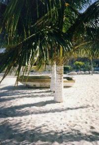 １００％世界共通　☆