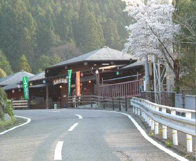 しみず温泉・二川ダム・根来寺の夜桜