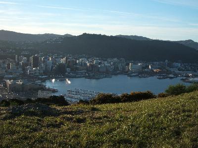 2週間でニュージーランド一周?!~ウェリントン、カイコウラ、クライストチャーチ~