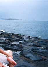 先輩を訪ねた鹿児島旅行