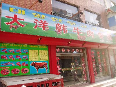 韓国から牛６００頭　大洋韓牛肉専売店　