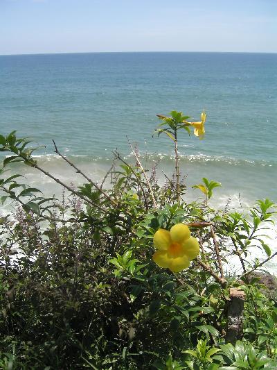 India 11(Varkala, Kerala)