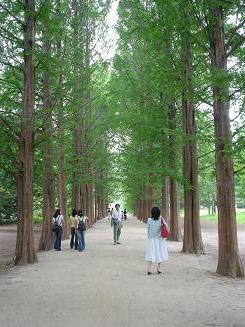 ナミソム道中記（冬のソナタのロケ地）