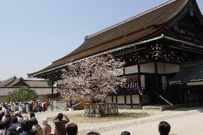 春の特別公開＠京都御所☆2005年4月9日