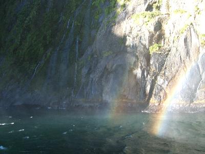 2週間でニュージーランド1周?! ~ミルフォードサウンド編~