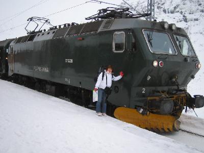 北欧ふたり旅★しあわせ運ぶフロム鉄道☆