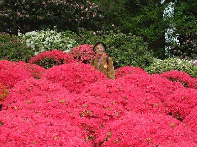花巡り(日帰り旅行)