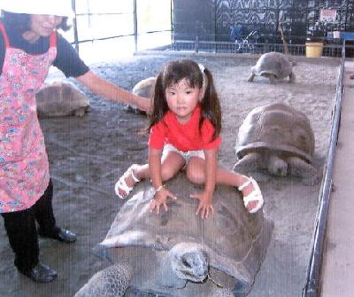 めんそーれ、沖縄！