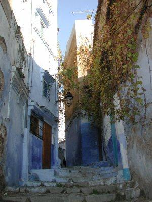 ★モロッコ★　シャウエン＆テトゥアン