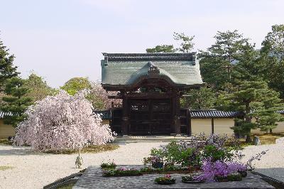 嵐山・嵯峨野を歩く♪＠清涼寺・大覚寺☆2005年4月17日