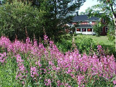 スウェーデン　ユッカスヤルヴィ散策