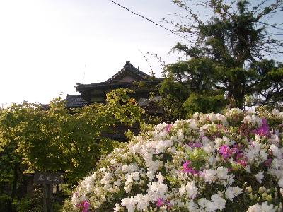 秘湯へ求めて@新潟