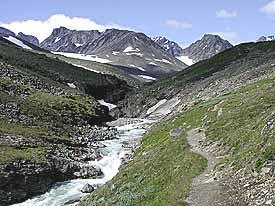 ケブネカイセ　ハイキング第三日目（その１）