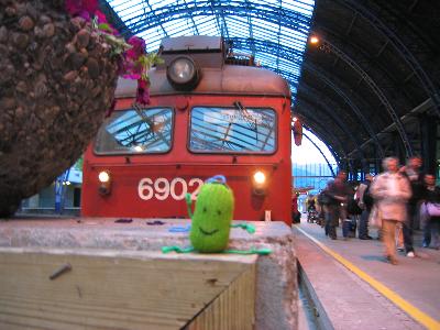 豆蔵がノルウェーにやってきた。