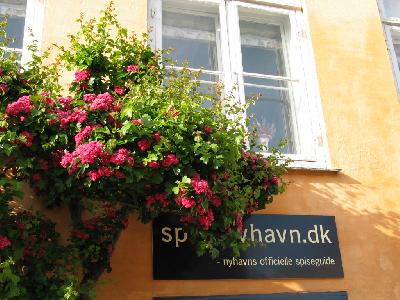 地球を感じる旅～コペンハーゲン編～