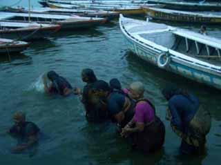 むらの樹inバラナシ