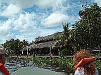 オリノコデルタで本物のジャングルを味わう！