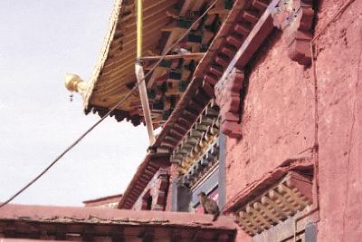 チベットに憧れて　?路線バスで行こう～ガンデン寺巡礼編