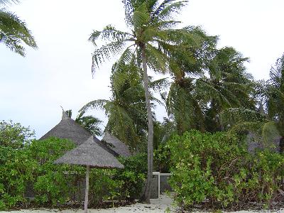 Honeymoon in MALDIVES  NO.４