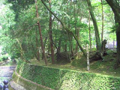 苔寺・鈴虫寺