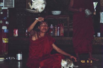 ミャンマー・・・?（インレー湖　猫ジャンプ！）