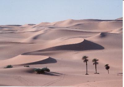 ネイチャーワールドの北アフリカのリビアの旅日記